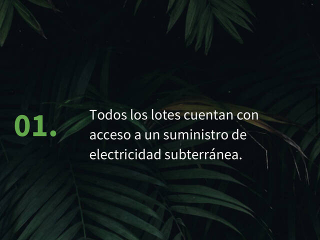 #TUL11 - Área para Venta en Tulum - QR