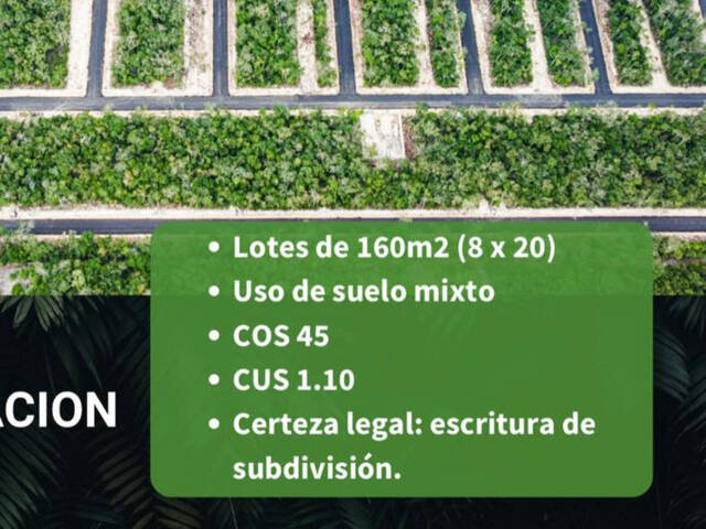 #TUL11 - Área para Venta en Tulum - QR